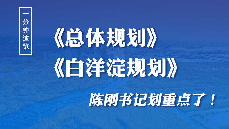 一分鐘速覽！《總體規(guī)劃》《白洋淀規(guī)劃》陳剛書記劃重點了！