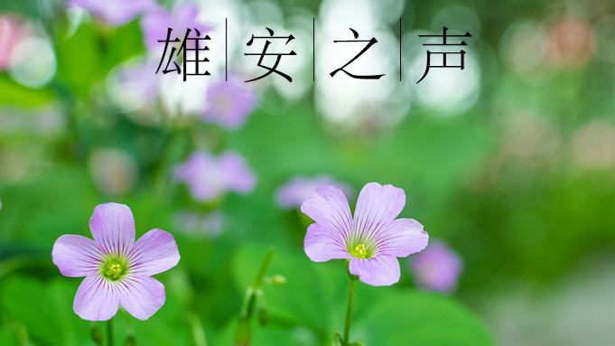 【雄安之聲】20190723