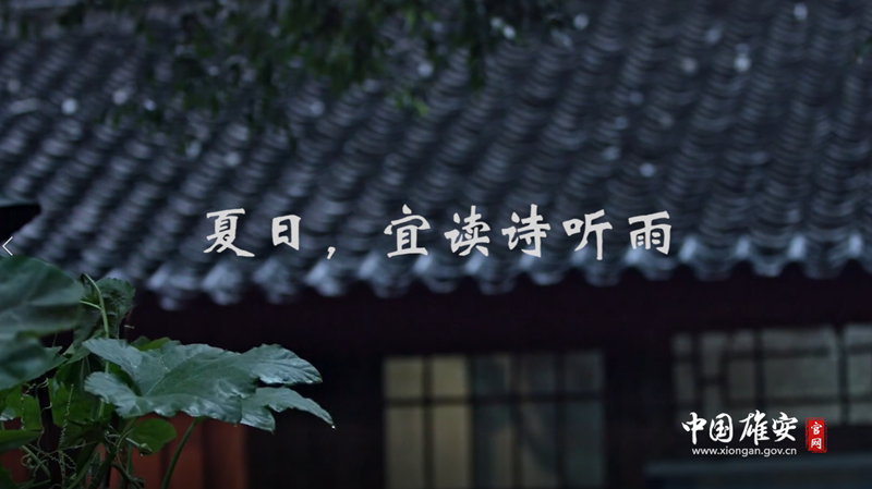 視頻丨夏日，宜讀詩聽雨