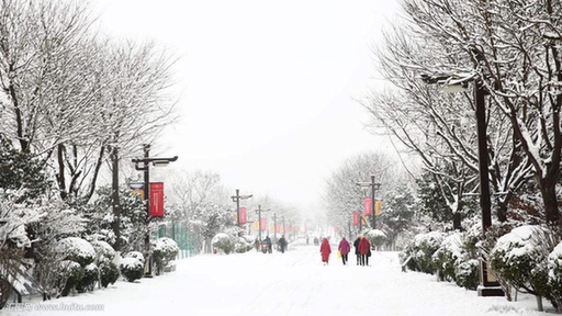 雄安下雪啦！這份暖心貼士請收好