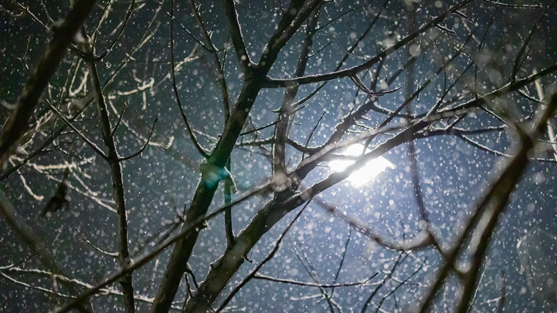 遇見·雄安丨終于等到你！雄安2019年冬的第一場雪！