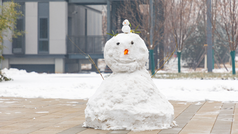 圖集 | 雪落雄安新區(qū)，到處銀裝素裹