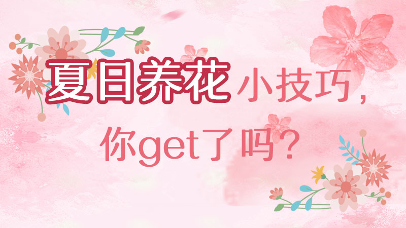 夏日養花小技巧，你get了嗎？