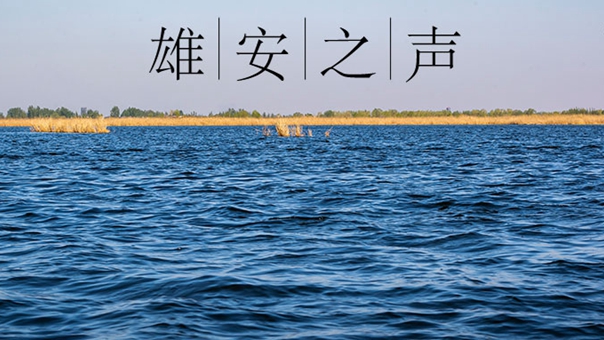 【雄安之聲】20200910
