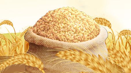 世界糧食日丨快收藏，節(jié)約糧食小妙招來(lái)啦！