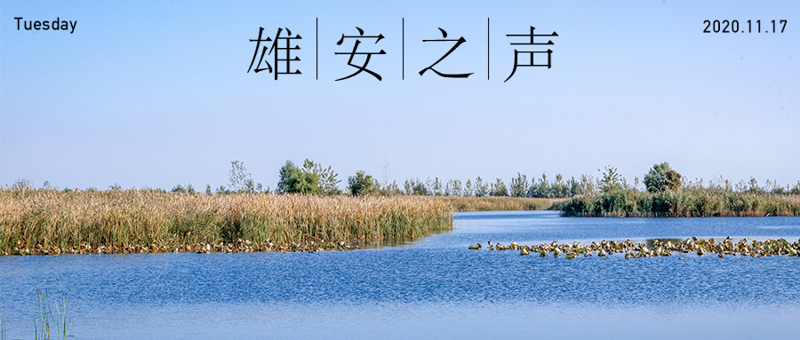 【雄安之聲】20201117