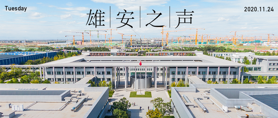【雄安之聲】20201124