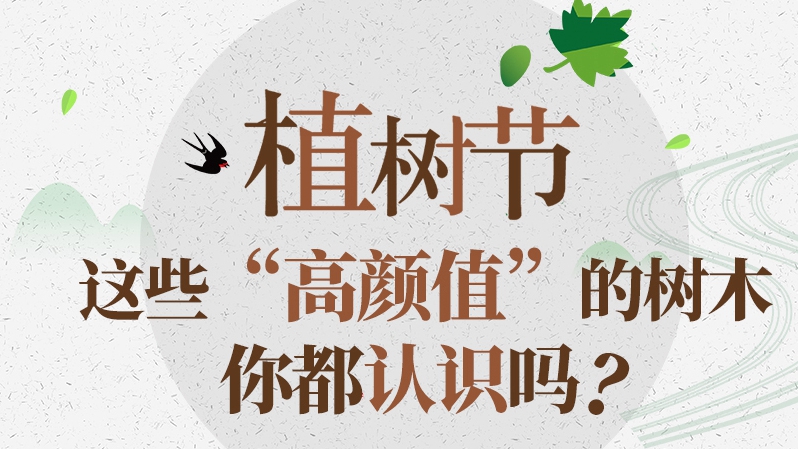 植樹節(jié)丨這些“高顏值”的樹木，你都認(rèn)識嗎？