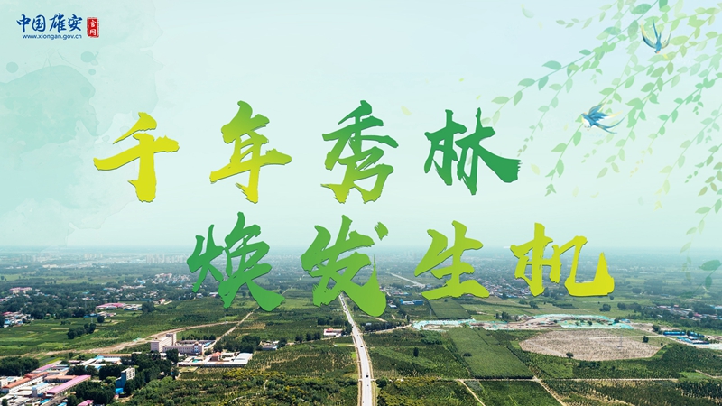 植樹節丨“千年秀林”煥發生機！