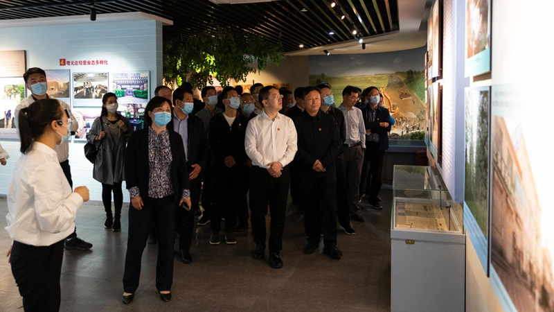 雄安新區組織掛職干部赴西柏坡等地開展主題黨日活動