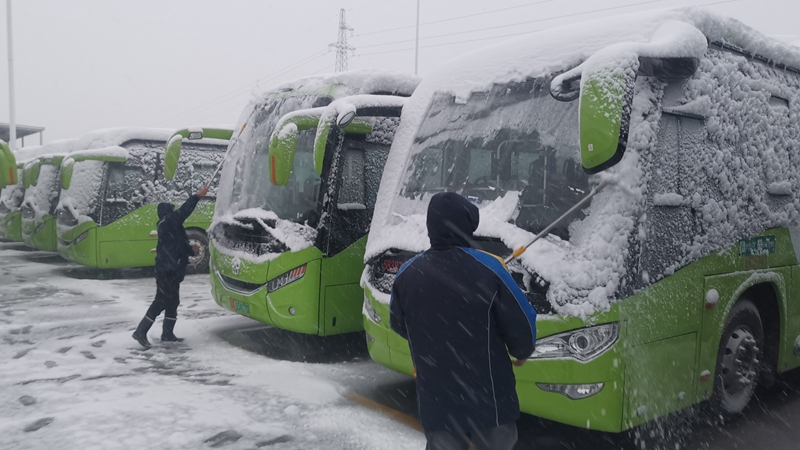 雪中雄安，雪與你都很美