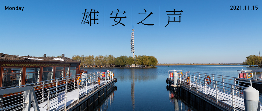 【雄安之聲】20211115