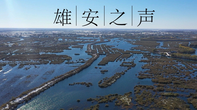 【雄安之聲】20211210