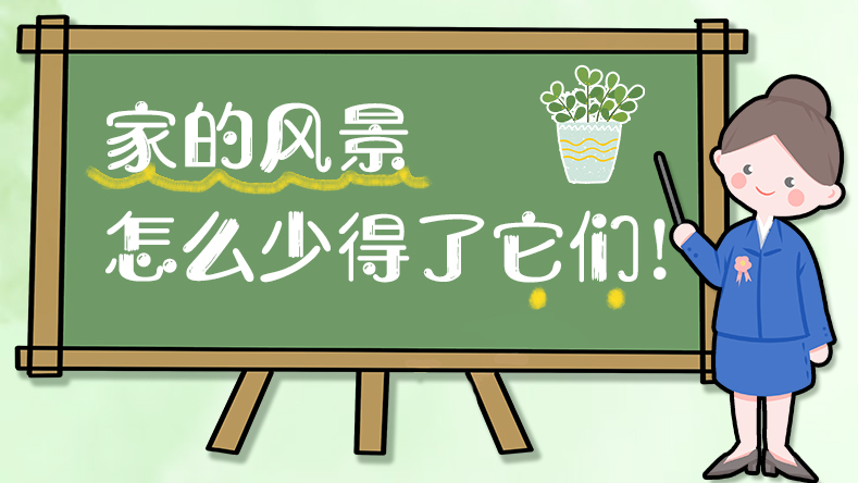 家的風(fēng)景怎么少得了它們！