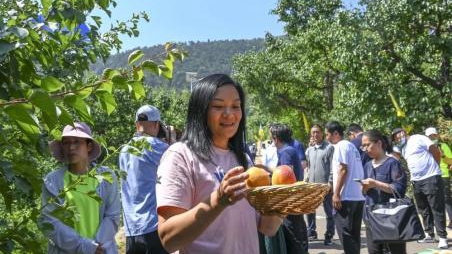 推動共同富裕，讓民生福祉更有“質感”