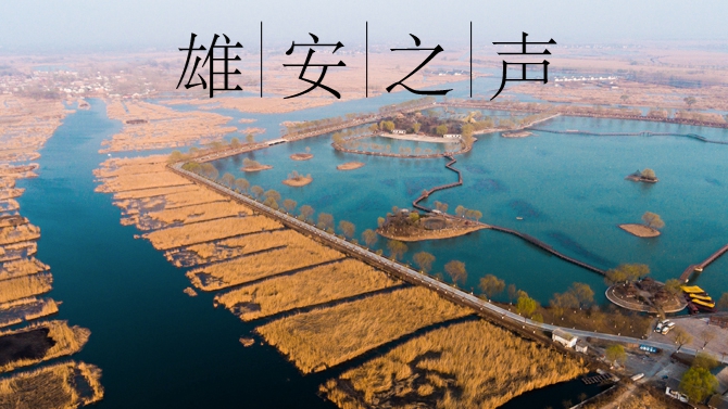 【雄安之聲】20211215