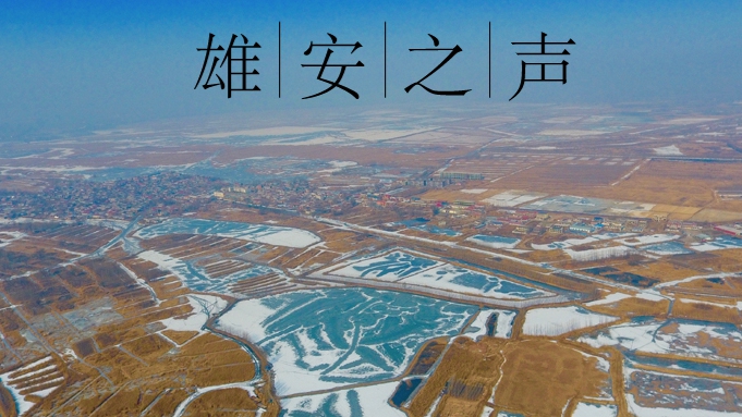 【雄安之聲】20211223