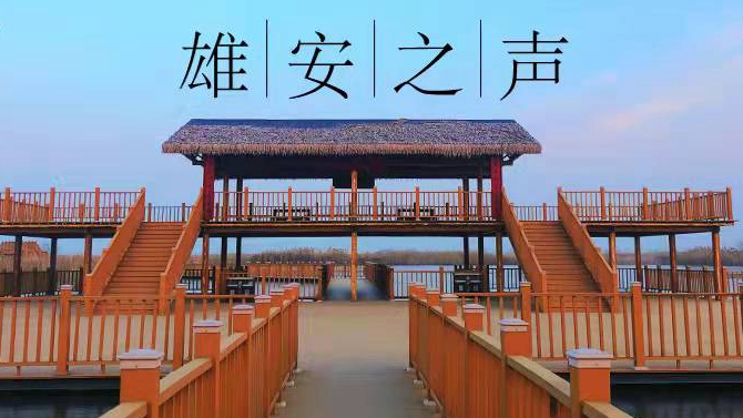 【雄安之聲】20211229
