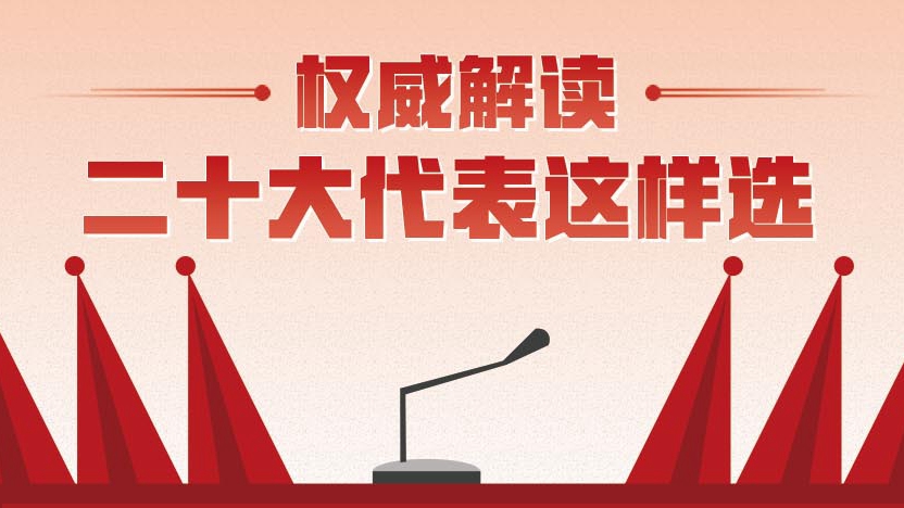 權(quán)威解讀丨二十大代表這樣選