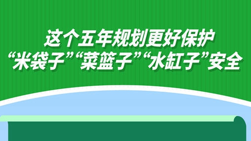 這個(gè)五年規(guī)劃更好保護(hù)“米袋子”“菜籃子”“水缸子”安全