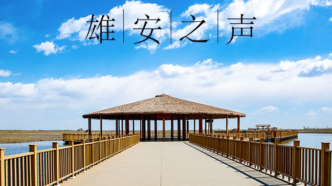 【雄安之聲】20220113