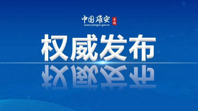 雄安新區(qū)召開(kāi)掛職干部座談會(huì)