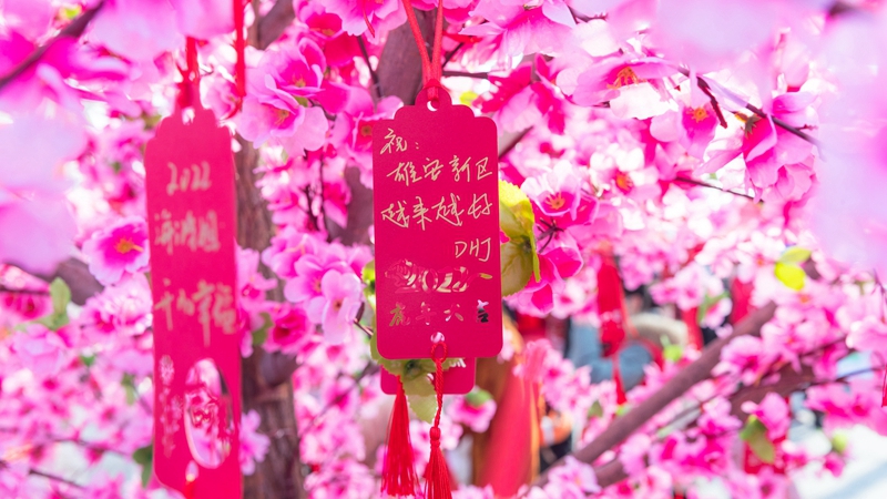 雄安新區(qū)舉辦“佳節(jié)尚文明·歡樂鬧元宵”文明容東主題日活動(dòng)