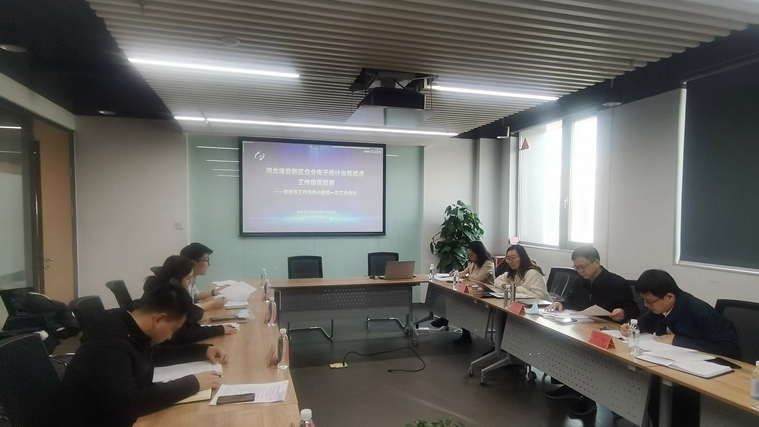 雄安新區(qū)啟動企業(yè)電子統(tǒng)計臺賬省級試點