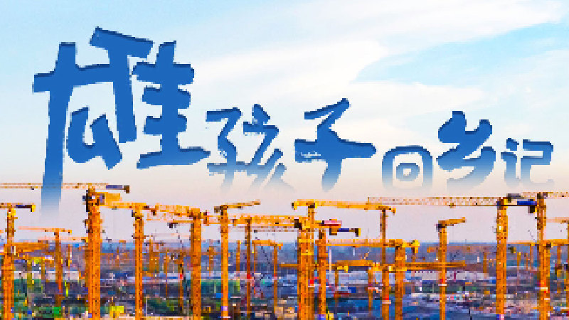 創意視頻丨“雄孩子”回鄉記