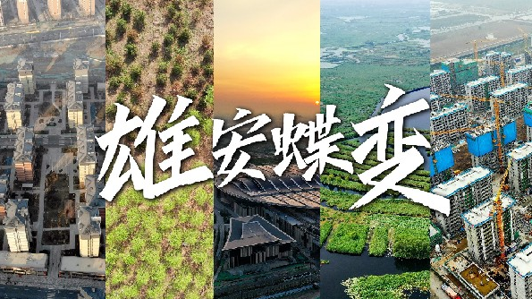 微視頻丨雄安蝶變