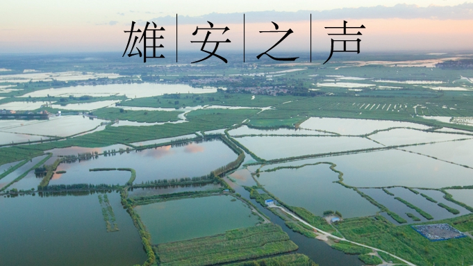 【雄安之聲】20220415