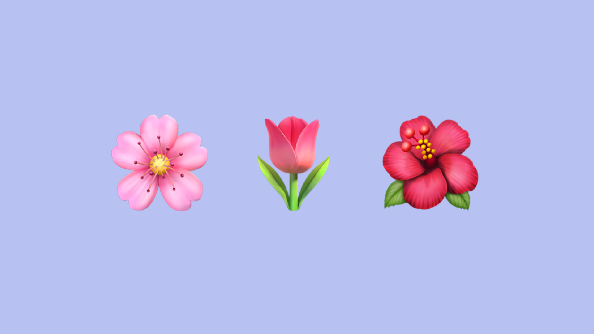 家鄉雄安丨雄安的春，都藏在這“花花世界”里！