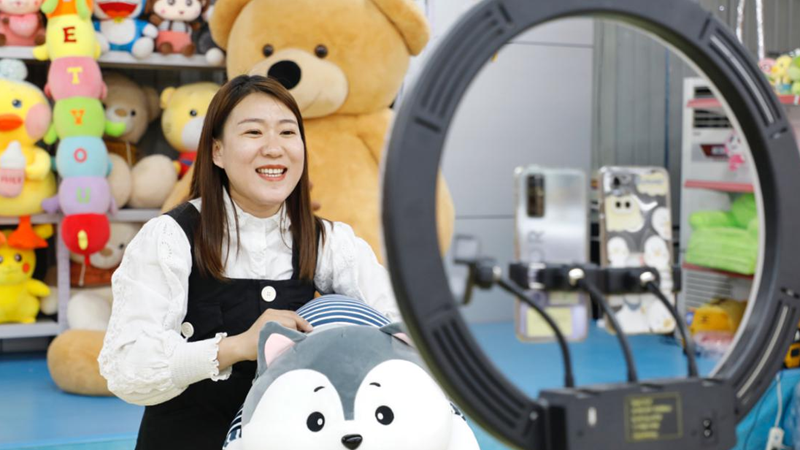 匯集力量、抱團發展！容城縣電子商務協會成立