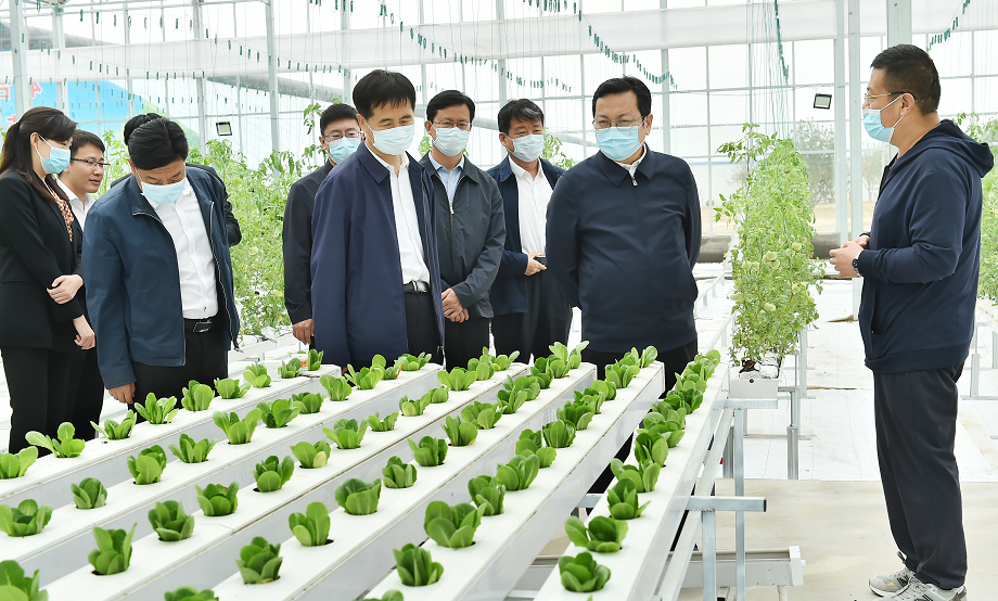 時政播報丨張國華調研雄東片區安置房建設和雄縣農業產業結構調整工作