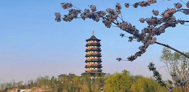 @雄安人，家門口這些高顏值景點等你來打卡！
