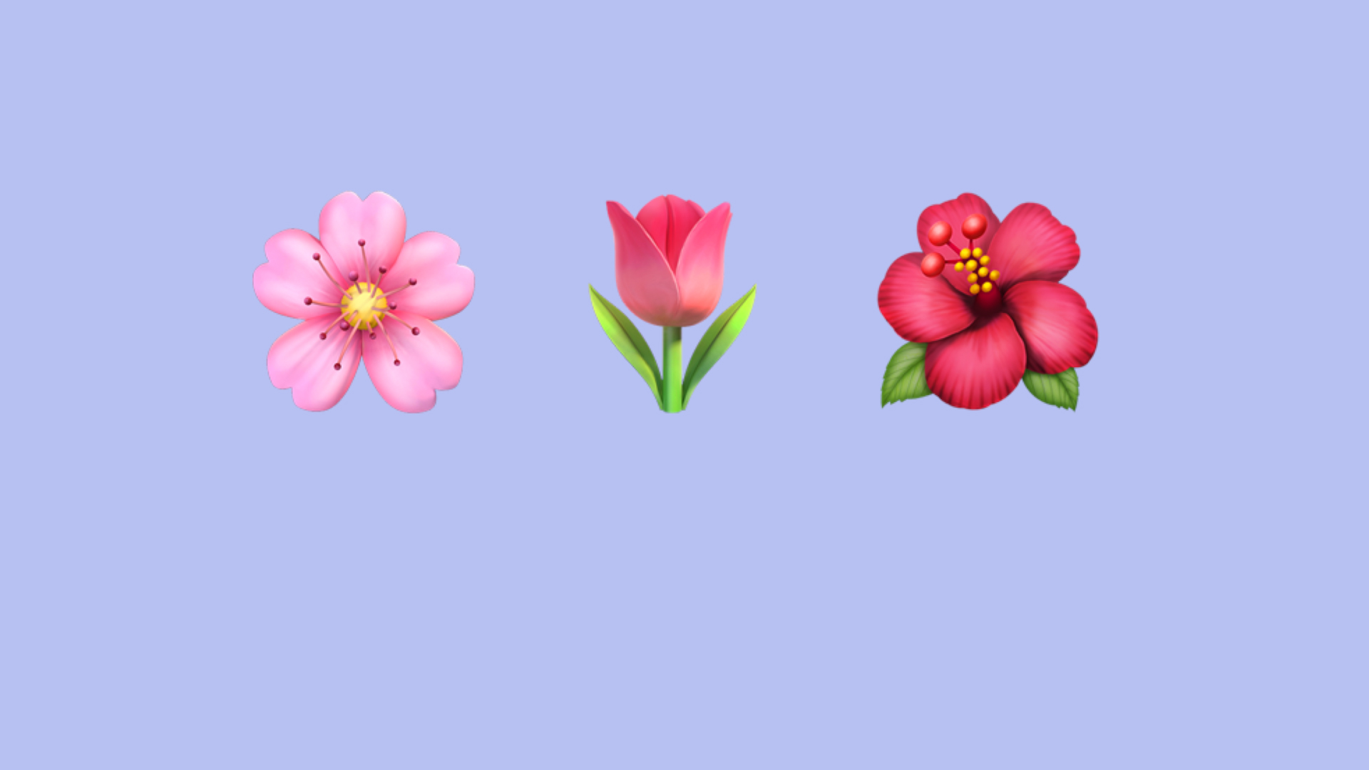 雄安的春，都藏在這“花花世界”里！