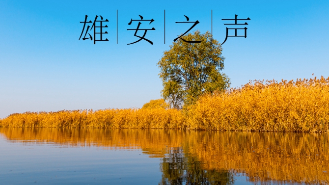 【雄安之聲】20221228