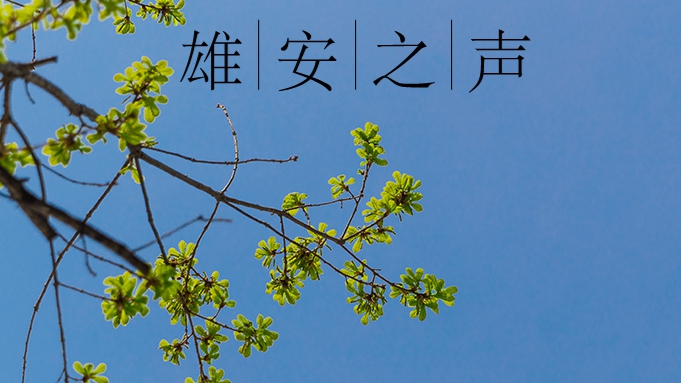 【雄安之聲】20230317