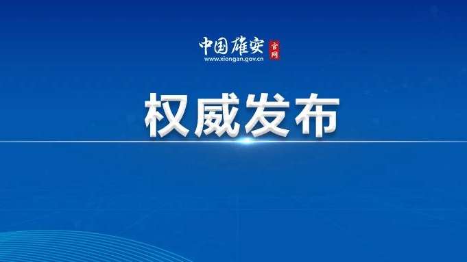 雄安新區召開黨工委理論學習中心組學習會議