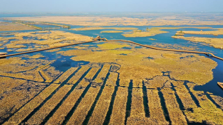 “華北明珠”再現(xiàn)“鳥(niǎo)類(lèi)天堂”勝景 “未來(lái)之城”增添生態(tài)魅力