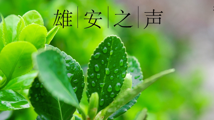【雄安之聲】20230406