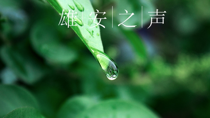 【雄安之聲】20230407
