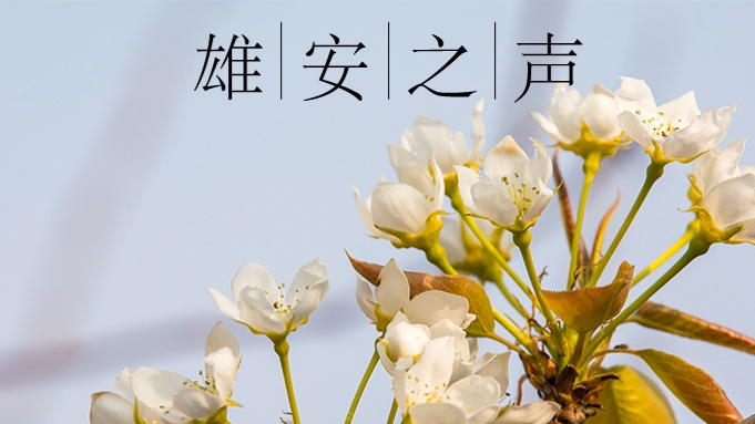 【雄安之聲】20230410