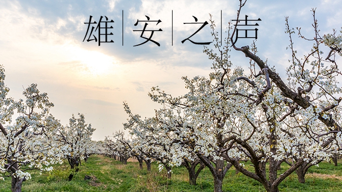 【雄安之聲】20230412