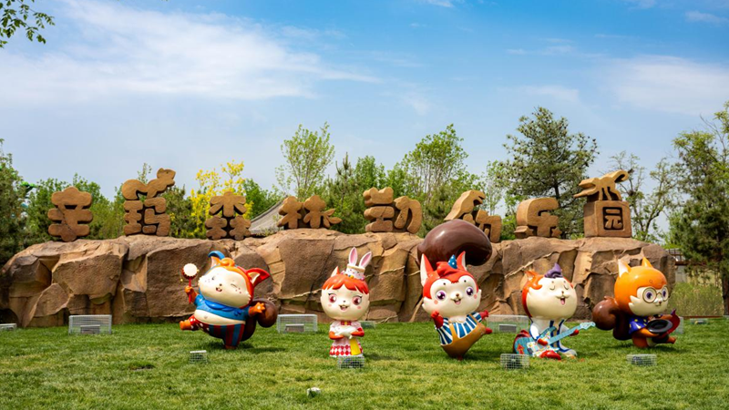 雄安新區辛瑪森林動物樂園開園啦！