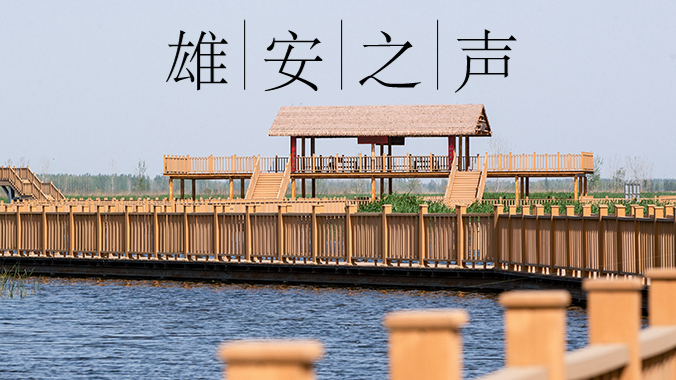 【雄安之聲】20230525