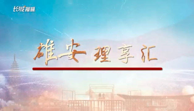 雄安“理”享匯③丨強(qiáng)化疏解服務(wù)功能 高質(zhì)量建設(shè)“城市門(mén)戶(hù)”