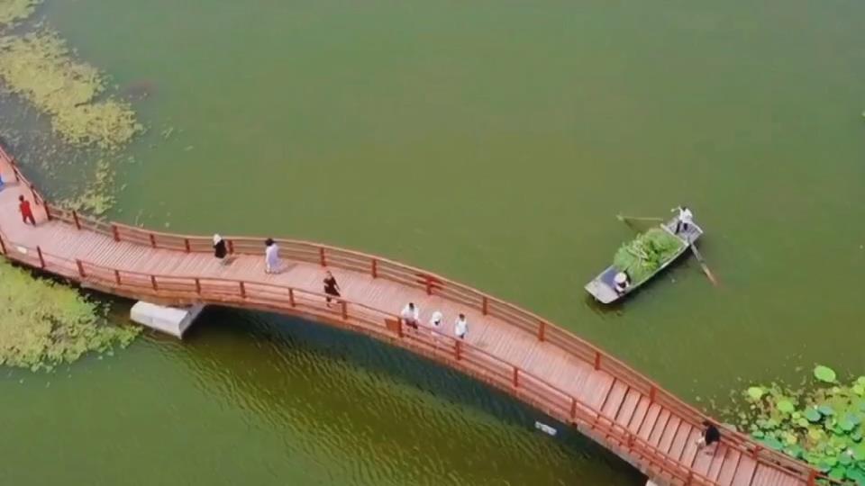 我的環(huán)保小故事