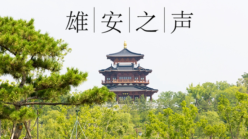 【雄安之聲】20230817